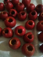 Hoge kwaliteit best verkochte fruitpitverwijderingsmachine, kersenpitverwijderingsmachine, olijfpitverwijderingsmachine met fabrieks prijs