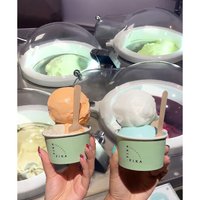Miles Galaxy V2 Milan Aanrechtmodel IJs- en Sorbetmachine 2 Smaken RVS Energy Star Gecertificeerd Fruit Melk Water
