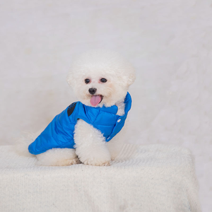 Heiße Herbst Winter Kleidung Teddy Schnauzer Pome ranian Corgi <span class=keywords><strong>Pet</strong></span> Schwarz Warm Down Weste Hunde kleidung - Product Image 5