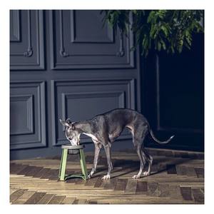 Good Feeding Adjustable Feeder Food Shop Product Supply Elevated Pet Eating Large Breed <b>Dog</b> Stand <b>Raised</b> Ceramic Cat <b>Bowl</b> - Product Image 1