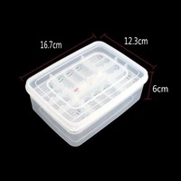 Caja de Incubación Rectangular de Plástico Simple para Reptiles, Lagartos, Tortugas Acuáticas, Mascotas que Escalan, Diseño Mediano, con Termómetro