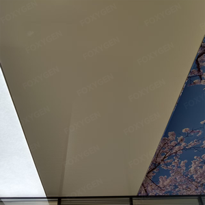 Trung Quốc Trần giả trang trí nội thất satin phim sáng bóng PVC trắng bóng căng trần cho phòng - Product Image 3