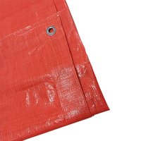 Bâche en vinyle laminé HDPE transparent enduit 20 x 40, 14 mil, tissu imperméable pour la protection extérieure et l'étanchéité