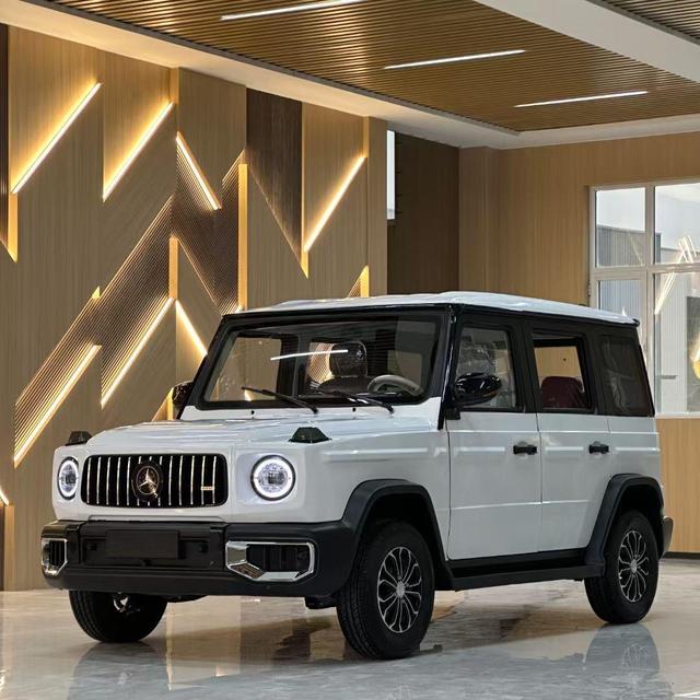 EEC Certified G-Class Style Electric Car 4-Seater New Energy Vehicle for Adult Commute