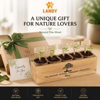 Kit d'arbre bonsaï écologique, ensemble d'outils de jardin en bois avec sachets de graines et marqueurs de plantes pour la décoration extérieure