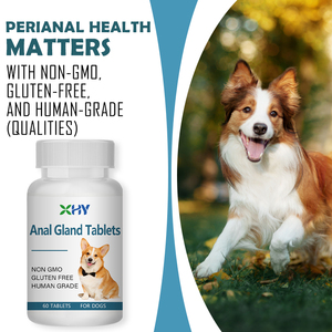 Comprimidos Personalizados para Glândulas Anais Promovem o Suplemento Natural Comprimidos para Glândulas Anais Suplemento para Cães e Gatos - Product Image 5