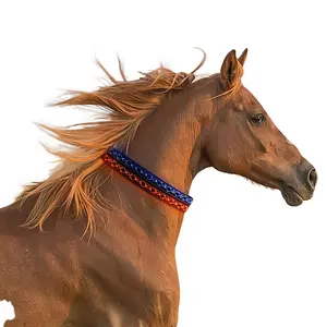 Walk horse rope embroidery LED light horse collar equestrian accessories horse accessories