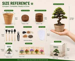 DIY Eco-Friendly <strong>Bonsai</strong> <strong>Tree</strong> Kit Customized Pots Stands Modern Small Indoor/Outdoor Use Desktop Display Various <strong>Seeds</strong> - Product Image 3
