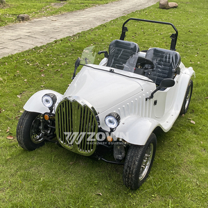 Chariot électrique vintage élégant pour villas, manoirs et services touristiques - Product Image 4
