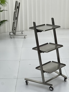 DM Stainless Steel <b>Tool</b> Cabinet Beauty Salon Equipment Hair Salon <b>Tool</b> <b>Cart</b> Other Salon Furniture Modern Style - Product Image 4