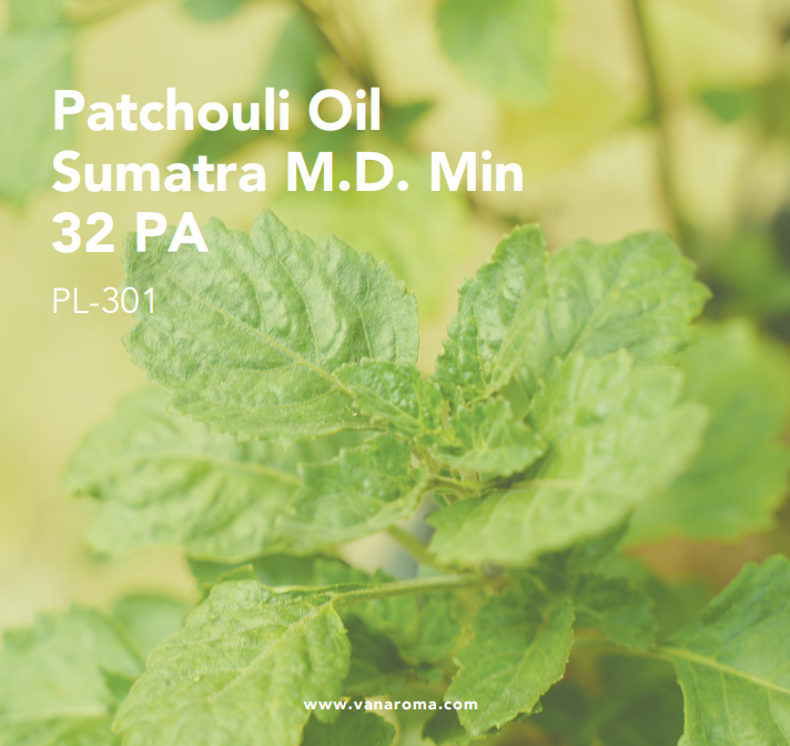 สีเหลืองอ่อน