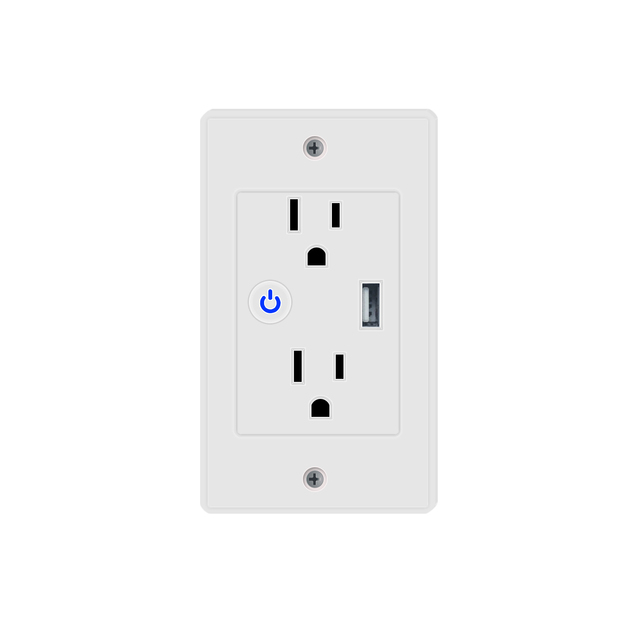 US Smart Wifi Wall Switch with Usb Socket Charger Wifi Wall US Smart Wifi Wall Outlet