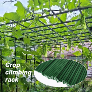 Batang Fleksibel Fiberglass yang Dapat Digunakan Kembali |   Penyangga Tanaman Kebun dan Penyangga Tanaman Sayuran Barras De Fibra De Vidro - Product Image 4