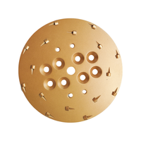 Disque de meulage PCD en résine diamantée de 250 mm (10 pouces) pour sols, type Blastrac, pour élimination rapide de peinture époxy et colle, personnalisable OEM