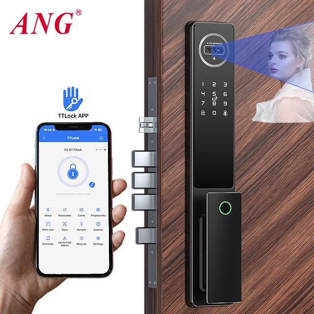 Electric Biometric Smart Door Lock Intercom Fully Automatic Ttlock App Palm Vein Face Recognition Lock for Gate Door