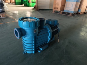 High Quality 1.5HP Copper Motor Sea <b>Water</b> Self Priming <b>Pump</b> OEM for Swimming <b>Pool</b> - Product Image 1