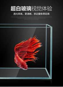 Acquario Rettangolare Piccolo in Acrilico e Vetro con Illuminazione LED e Schermo Digitale per Meduse - Product Image 2