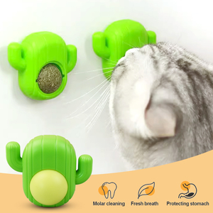 Nouveau jouet pour chat 2026 : Balle de cactus en ABS comestible, anti-anxiété, pour chatons, nettoyage des dents - Product Image 2