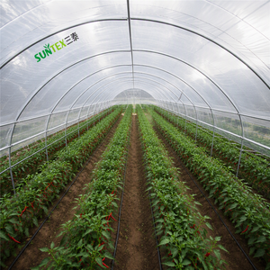 Film per Serra in PE 150 Micron Anti-UV, Anti-Invecchiamento, Anti-Appannamento, Anti-Goccia, per Tunnel di Pomodori e Peperoni - Product Image 1