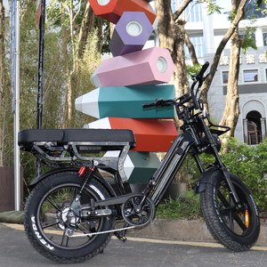 Nouveau design, directement de l'usine, vélo électrique 20 pouces 48V 250W à assistance électrique, Vélo de neige et de plage VOMO X70, Nouveau design, directement de l'usine, 20 pouces - Product Image 4