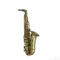 Eastern Music Brand Popular Grade Gold Lacquer Eb Alto Saxophone Like 275 for Performance