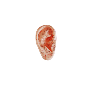 แบบหูนวด ADA-514A 17ซม - Product Image 1