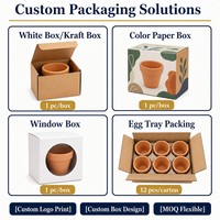 Life-Word Succulent Pot Tanaman Bunga Dekoratif Kustom MOQ Rendah Dalam Ruangan Luar Ruangan Mini Tanah Liat Terakota Pot