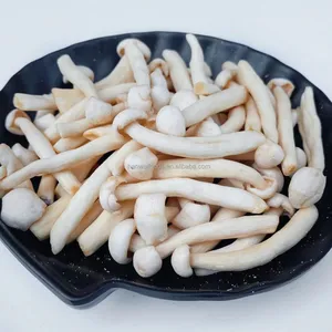 天然有机零食白山毛榉蘑菇健康蔬菜VF Shimeji蘑菇