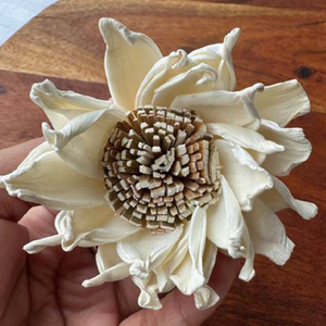 Fleur de Sola Naturelle Faite à la Main JMC-436 6-7CM pour Aromathérapie et Décoration de Mariage - Product Image 2