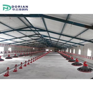Aangepast Ontwerp Staalconstructie Laag Kip Pluimvee Boerderij Schuur Voor 1000 Lagen Kippen - Product Image 2