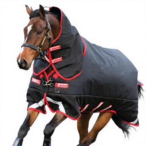 Couvertures d'hiver pour chevaux 600D 1200D 1680D VIOLET EN PROMO À 15 $ 5'3 5'6 5'9 6'0 6'3 6'6 6'9 7'0 - Product Image 1
