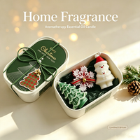 Panier de soins corporels de beauté pour les fêtes, bougie parfumée de Noël et boîte cadeau décorative botanique pour le festival de Noël