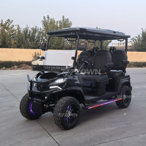 Voiturette de golf électrique de luxe avec éclairage LED décoratif pour le transport de groupes dans les zones touristiques - Product Image 5