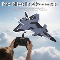 Avion de Chasse RC J20 à Double Batterie en Mousse EPP, Modèle de Simulation Télécommandé pour Adultes Passionnés