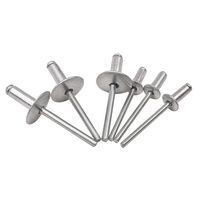 Fixation décorative de sortie d'usine Rivet aveugle en aluminium à grande bride Rivets pop à extrémité ouverte auto-enfichables Noyau en acier plastique