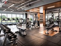 Equipo de Gimnasio de Alta Calidad, Incluyendo Máquinas con Pesas Fijas y Selectorizadas para Entrenamiento Cardiovascular y de Fuerza.