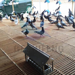 Tapis de sol en bois de bambou Keep Pigeon Coop Clean - Product Image 2