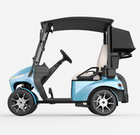 Voiturette de golf rapide 30 km/h avec port de charge USB, véhicule utilitaire de golf portable, voiturette de golf haute vitesse pour un seul joueur