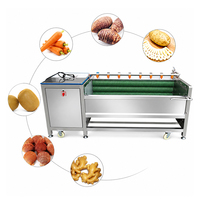 Bellenwasmachine Fruit- en groentewasapparatuur Commerciële borstelrolschiller & -wasser