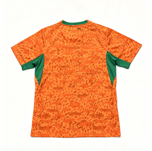 Coupe du Monde de Football 2026 Côte d'Ivoire Maillot Domicile Version Fan & Version Joueur Kassie Diallo - Product Image 2