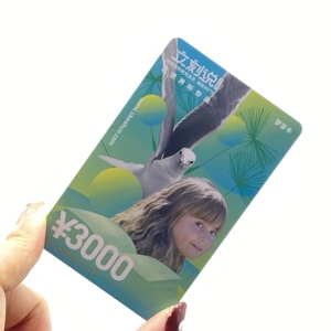Cartes de visite en PVC pour graphistes, image de marque créative - Product Image 1