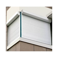 Fenêtre à volets roulants verticaux modernes automatiques en alliage d'aluminium pour extérieur