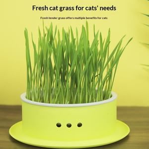 Kit de Cultivo Hidropónico de Hierba para Gatos sin Tierra, con Filtro Extraíble, Fácil Cambio de Agua, Juego de Plástico para Snacks de Gatos en Interiores - Product Image 2