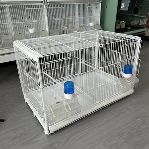 Gabbia Rettangolare in Metallo per Allevamento, Grande, per Pappagalli Giallo Oro, Hibiscus, Jade, 70-42-42, Tiger Skin, Peony, Small Sun, Monk Parrot - Product Image 4