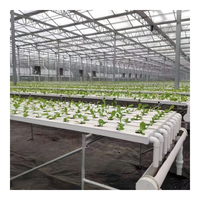 Système d'irrigation automatique Simo Greenhouse pour serres agricoles hydroponiques NFT, pompe, longueur personnalisable, couverture en PVC, table de culture pour ferme