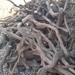 Décoration d'<span class=keywords><strong>aquarium</strong></span> en bois naturel pour <span class=keywords><strong>aquarium</strong></span>, vente en gros - Product Image 5