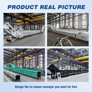 Ngành công nghiệp hóa chất kéo chuỗi băng tải PELLET nhiên liệu scraper băng tải hệ thống xử lý scraper băng tải mùn cưa chuỗi băng tải - Product Image 4