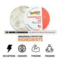 Sachet de Snus Européen Très Vendu pour Smoke Shop, Saveurs Multiples, Sachet Oral, Boîte de Snus, OEM ODM, Sans Tabac, Accessoires pour Fumeurs, 21 Pièces/Boîte