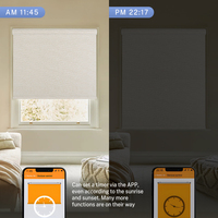 Persianas personalizables para hotel, persianas enrollables de cebra opacas con diseño horizontal y diseño minimalista negro eléctrico motorizado para ventanas