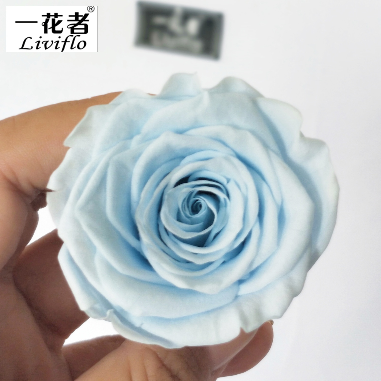 Bleu clair